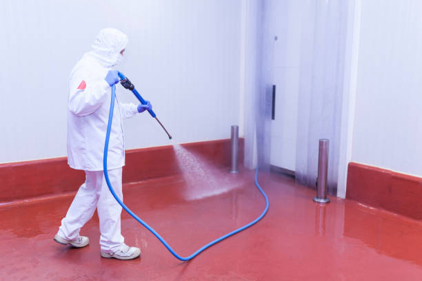 Best Dumpster Area Cleaning  in South Fallsburg, NY